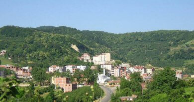 Çaybaşı Tarikçesi